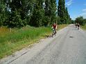 nougalopett (70)